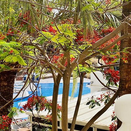 Castle Harbour Melanie'S Apartment By Lovetenerife Лос Кристианос Екстериор снимка